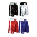 EVERLAST PRO BOKSESHORTS