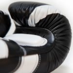 Venum Absolute 2.0 Boxing gloves