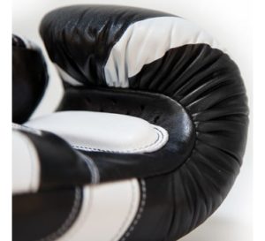 Venum Absolute 2.0 Boxing gloves