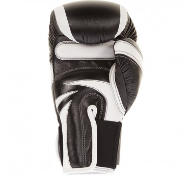 Venum Absolute 2.0 Boxing gloves1