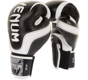 Venum Absolute 2.0 Boxing gloves2
