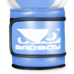 BadBoy Training Series 2.0 Boxing Gloves - Blå2
